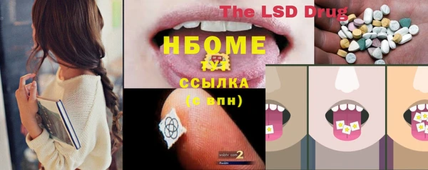 сатива Алзамай