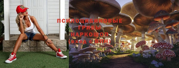 ПСИЛОЦИБИНОВЫЕ ГРИБЫ Пролетарск