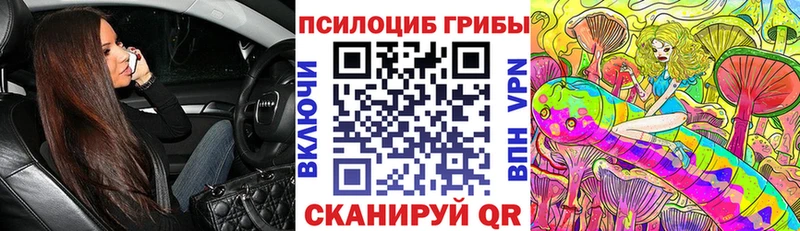 Псилоцибиновые грибы мицелий  где купить   Кольчугино 